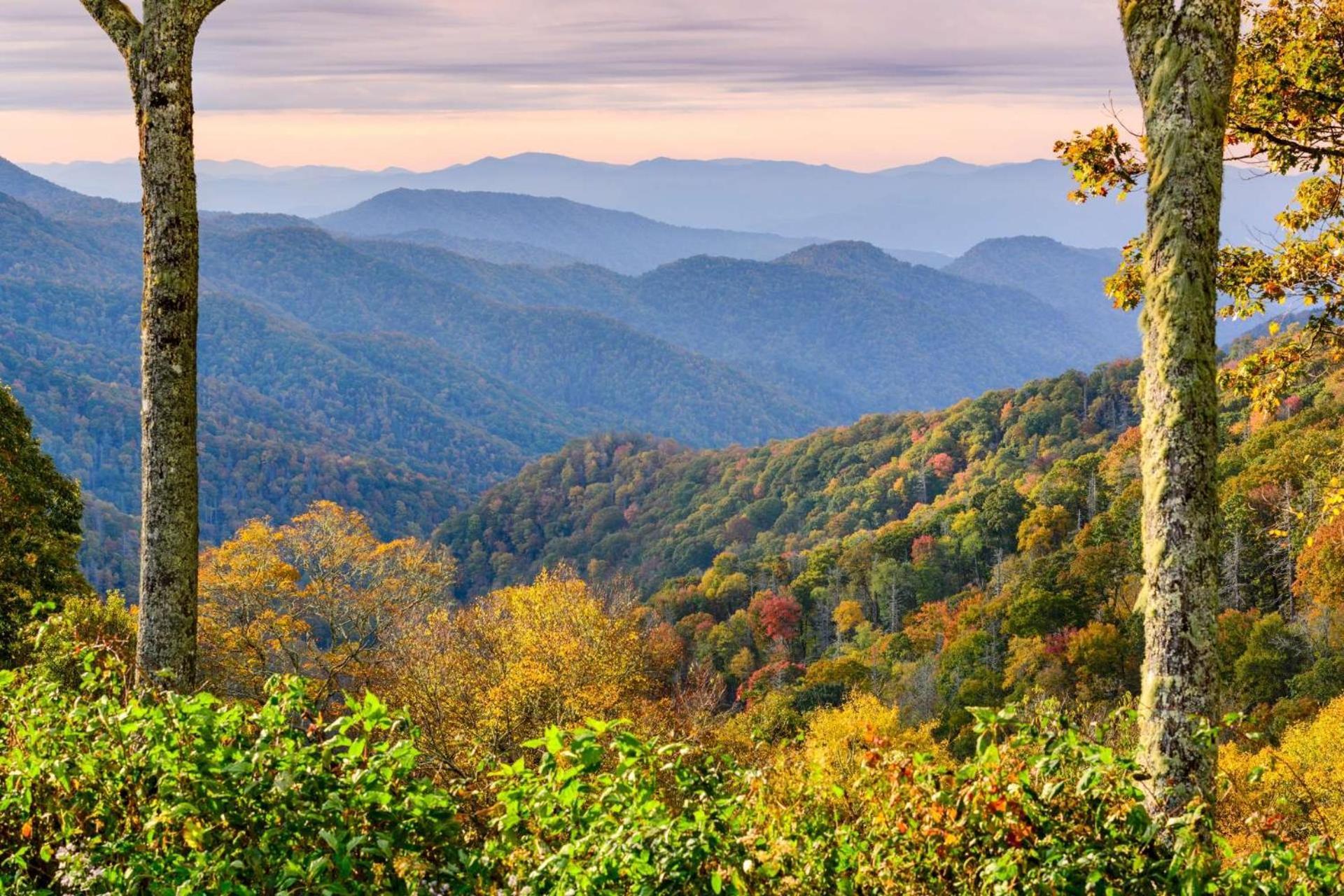 Hidden Hollow Pigeon Forge Luaran gambar
