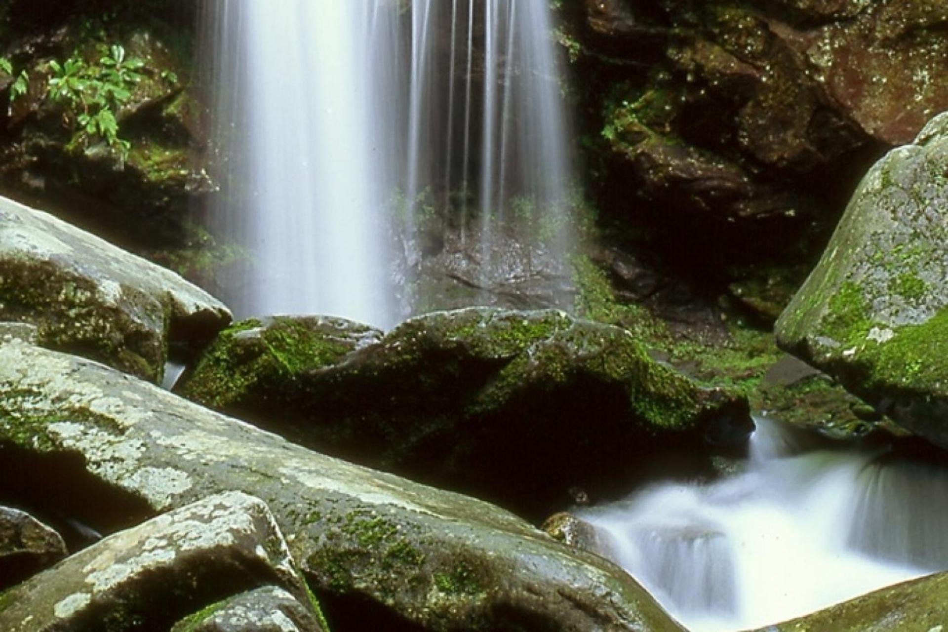 Hidden Hollow Pigeon Forge Luaran gambar