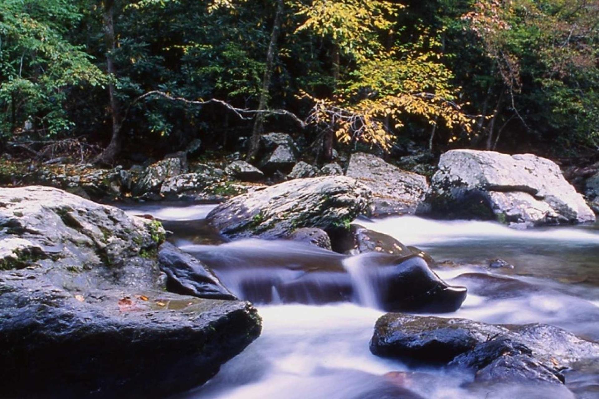 Hidden Hollow Pigeon Forge Luaran gambar