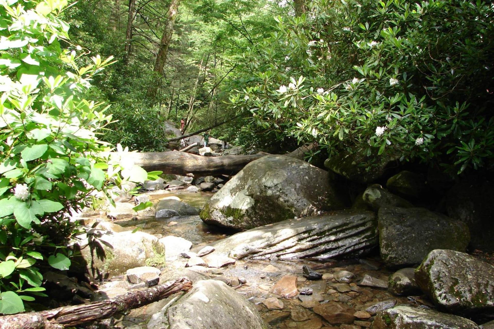 Hidden Hollow Pigeon Forge Luaran gambar